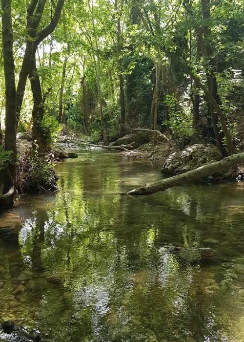 עין חרדלית נחל כזיב
