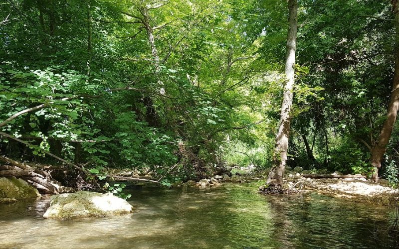 עין חרדלית נחל כזיב