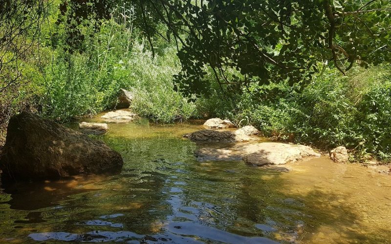 גן לאומי נחל צלמון