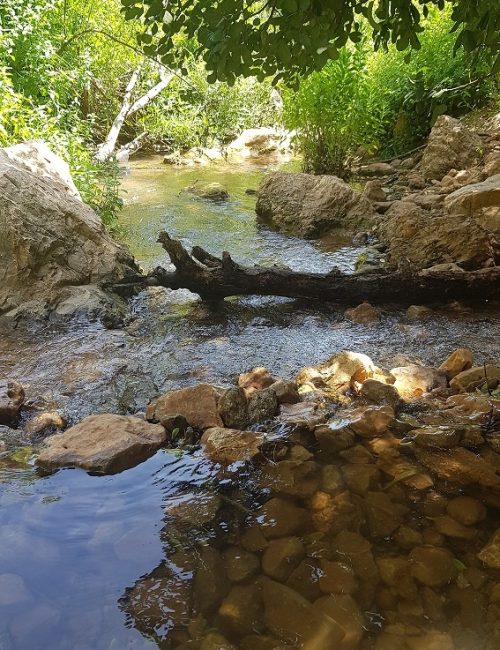 גן לאומי נחל צלמון