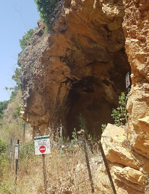 גן לאומי נחל צלמון