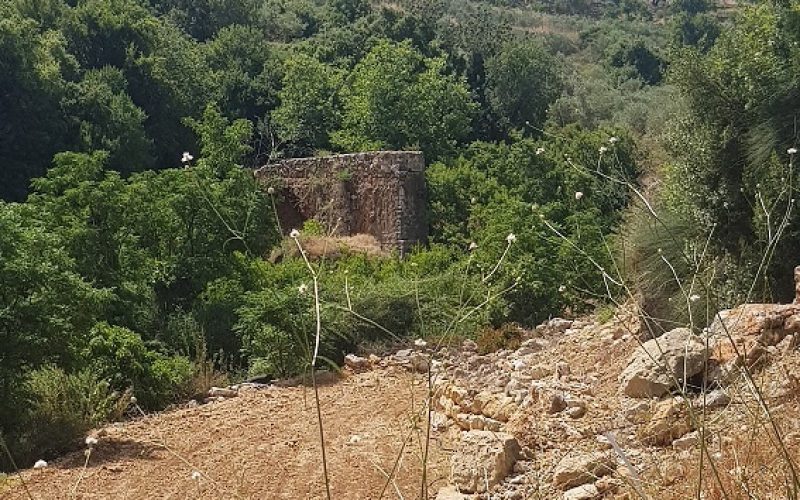 גן לאומי נחל צלמון