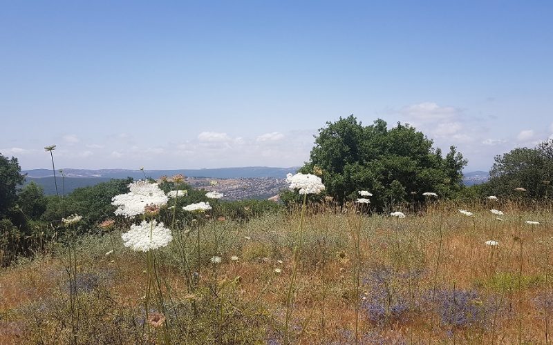 תצפית הר אדיר לזכר הנופלים ממלחמת לבנון השנייה