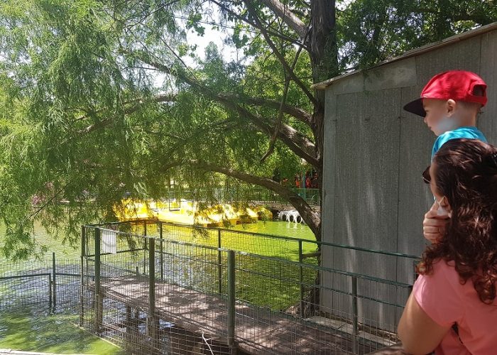 אגם חי בקיבוץ יראון