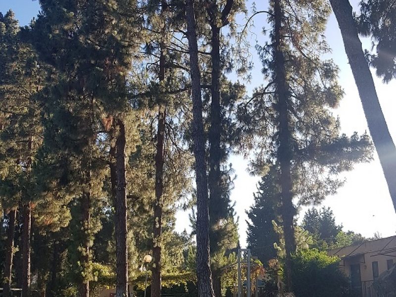 מלון מטיילים מלכיה