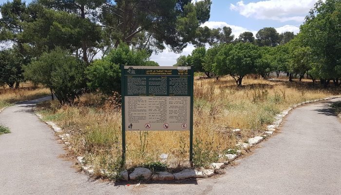 גן לאומי תל קדש – תל קדס