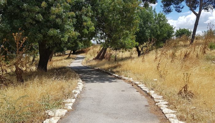 גן לאומי תל קדש – תל קדס