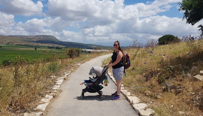 גן לאומי תל קדש – תל קדס