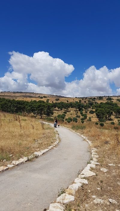 גן לאומי תל קדש – תל קדס