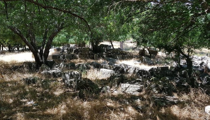 גן לאומי תל קדש – תל קדס