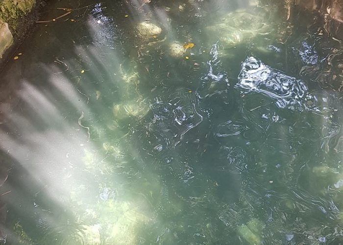 חמאם בנות יעקב - מעיין קטן ונסתר​