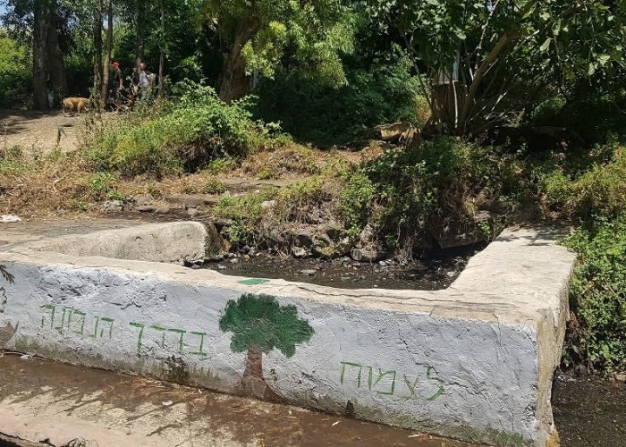 עין עלמין – בריכת קצינים ברמת הגולן