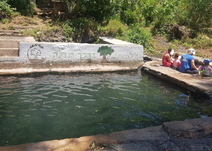 עין עלמין – בריכת קצינים ברמת הגולן