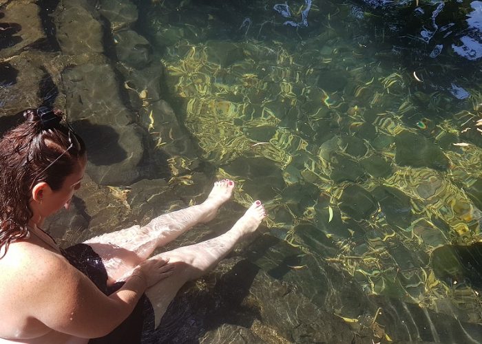 עין אמפי עין אקליפטוס - מעיין צלול ברמת הגולן