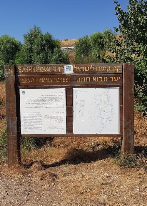 יער מבוא חמה ועין תאופיק (עין עקוב) – פארק מטיילים ומעיין זורם