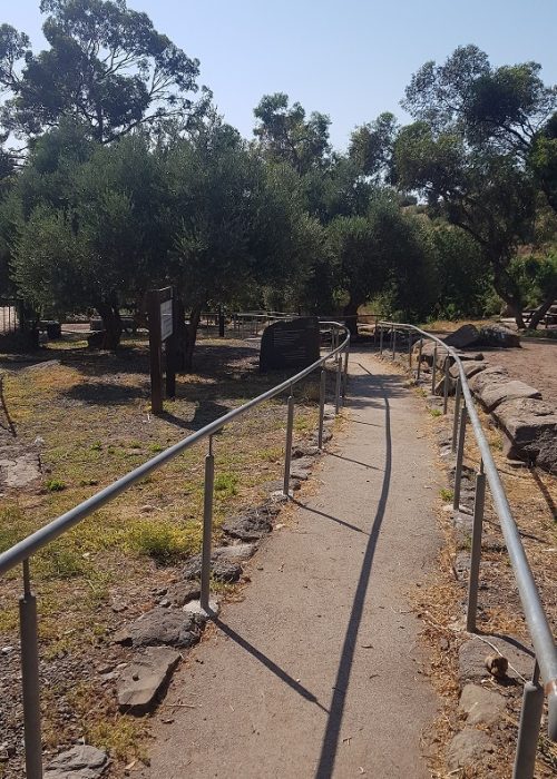 יער מבוא חמה ועין תאופיק (עין עקוב) – פארק מטיילים ומעיין זורם