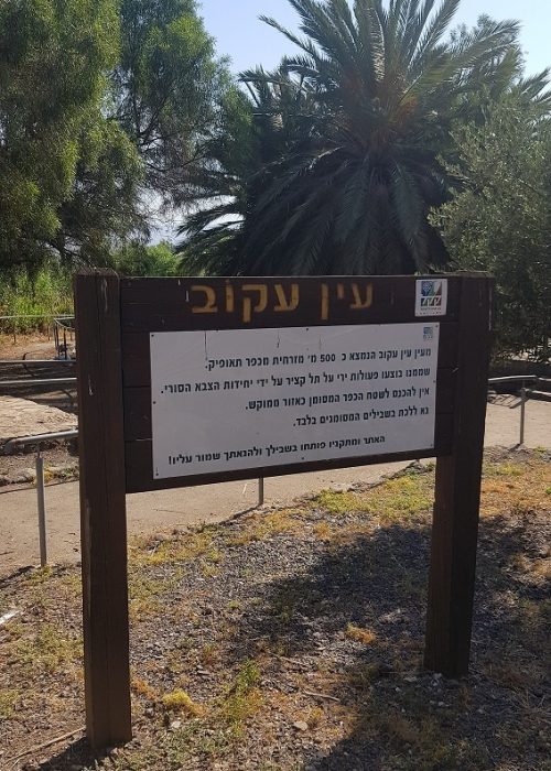יער מבוא חמה ועין תאופיק (עין עקוב) – פארק מטיילים ומעיין זורם