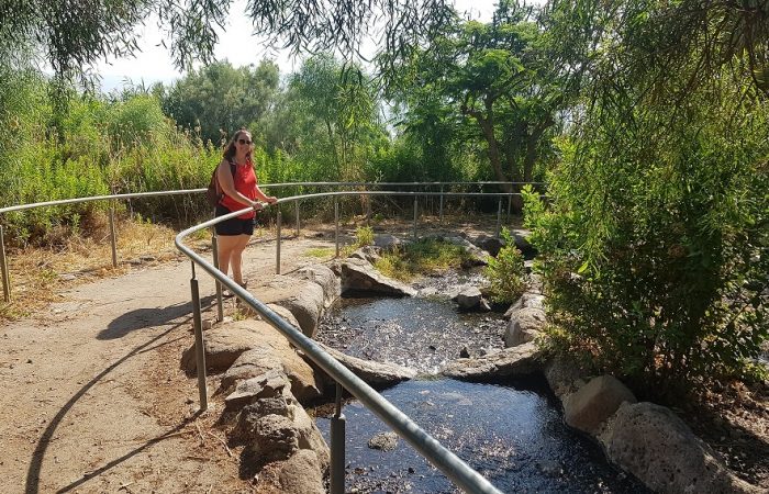 יער מבוא חמה ועין תאופיק (עין עקוב) – פארק מטיילים ומעיין זורם