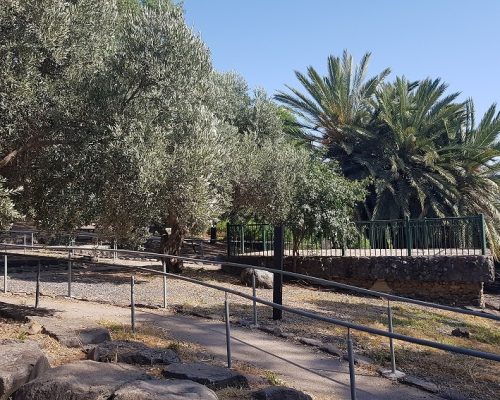 יער מבוא חמה ועין תאופיק (עין עקוב) – פארק מטיילים ומעיין זורם