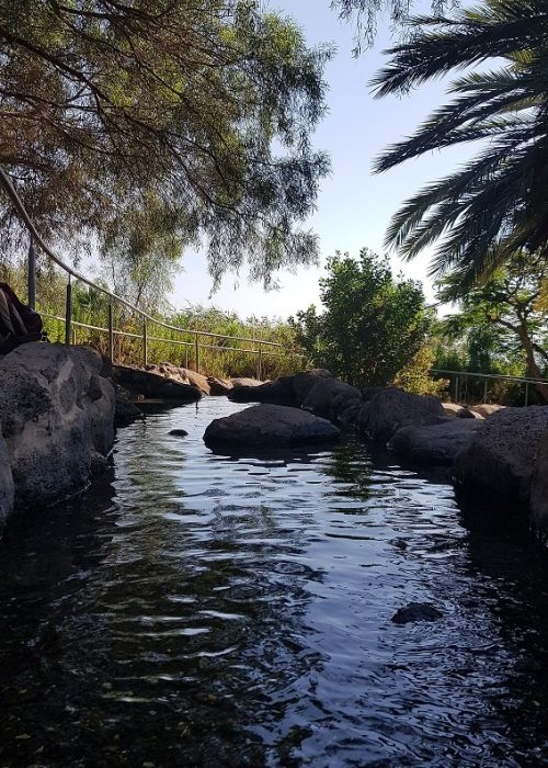 יער מבוא חמה ועין תאופיק (עין עקוב) – פארק מטיילים ומעיין זורם