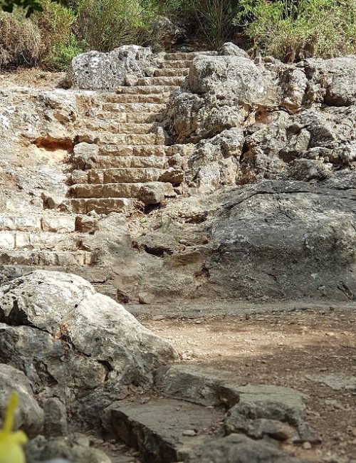 גן תשבי לזכרו של מיכאל תשבי – שביל הגנים וחניון יום