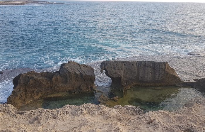 שמורת טבע וגן לאומי תל דור