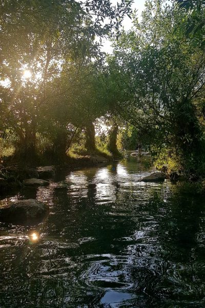 עין יבקע נחל ציפורי