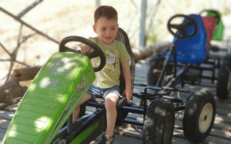 חאן ופארק דרך העץ – פארק קמפינג ואטרקציות