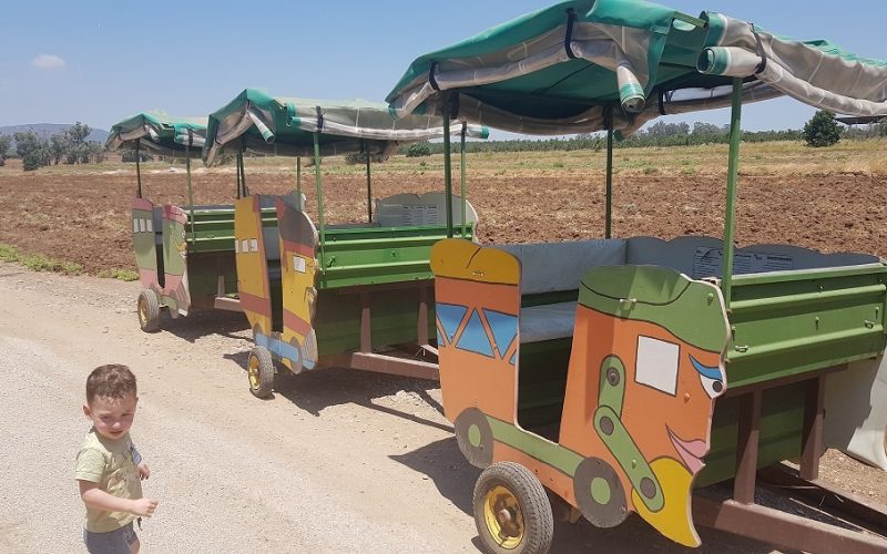 חאן ופארק דרך העץ – פארק קמפינג ואטרקציות