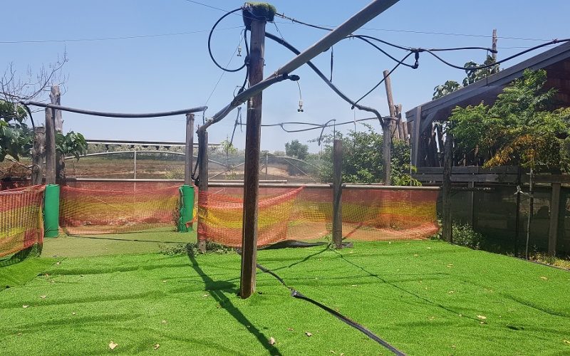 חאן ופארק דרך העץ – פארק קמפינג ואטרקציות