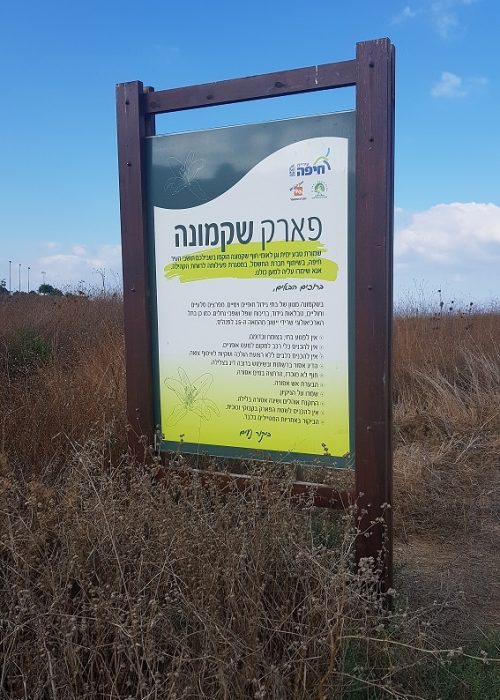 שמורת הטבע וגן לאומי חוף שקמונה והג'קוזי של חיפה