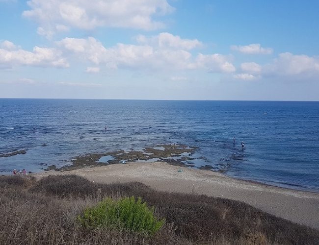 שמורת הטבע וגן לאומי חוף שקמונה והג'קוזי של חיפה