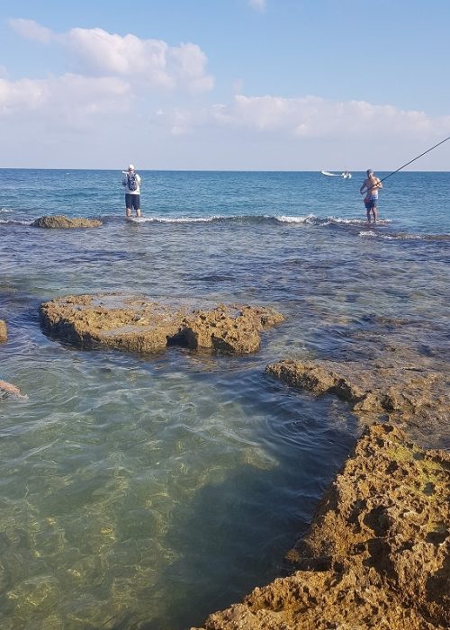שמורת הטבע וגן לאומי חוף שקמונה והג'קוזי של חיפה