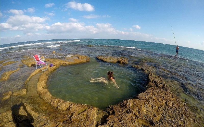 שמורת הטבע וגן לאומי חוף שקמונה והג'קוזי של חיפה