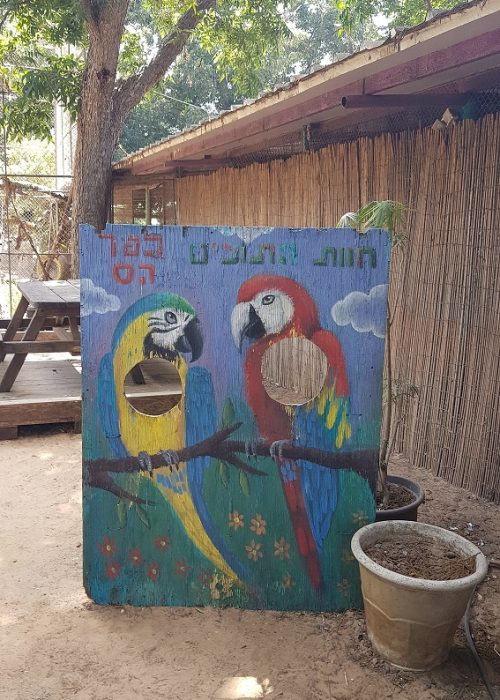 חוות התוכים בכפר הס