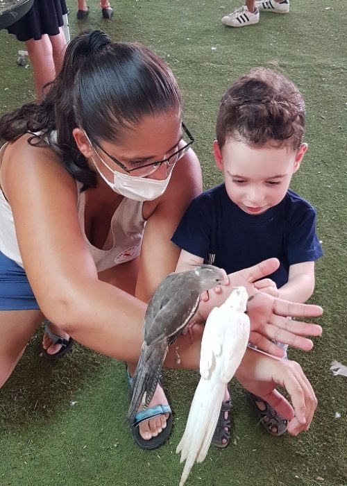 חוות התוכים בכפר הס