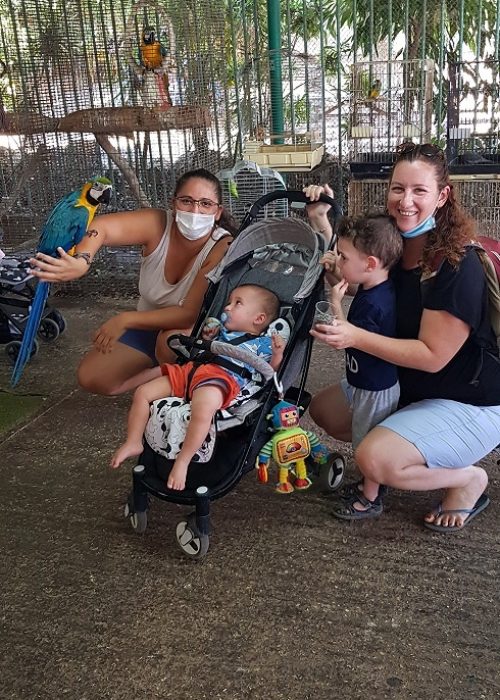 חוות התוכים בכפר הס