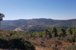 טיול מעגלי בסטף למשפחות