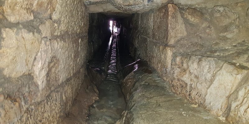 טיול מעגלי בסטף למשפחות