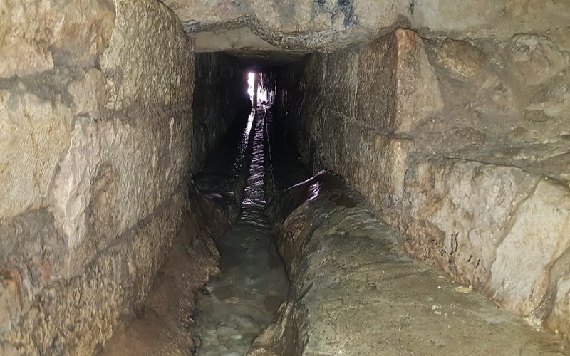 טיול מעגלי בסטף למשפחות