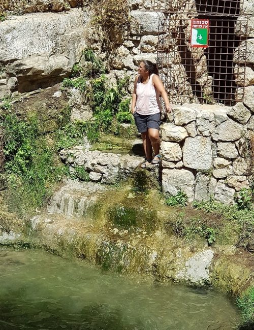 טיול מעגלי בסטף למשפחות