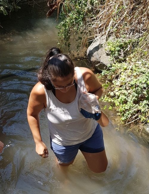 עין הדייג – מעיין קטן ונסתר בלב עמק החולה