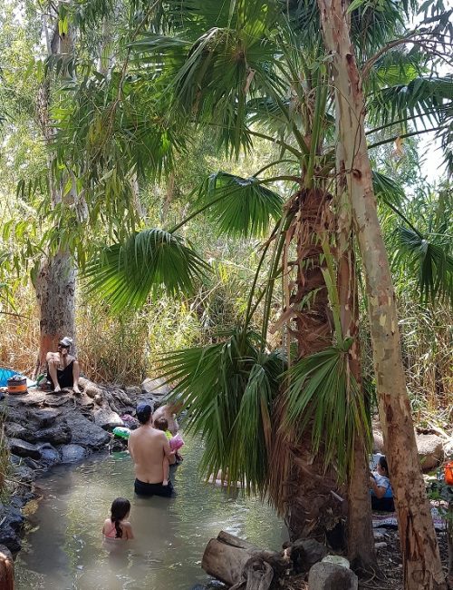 עין הדייג – מעיין קטן ונסתר בלב עמק החולה