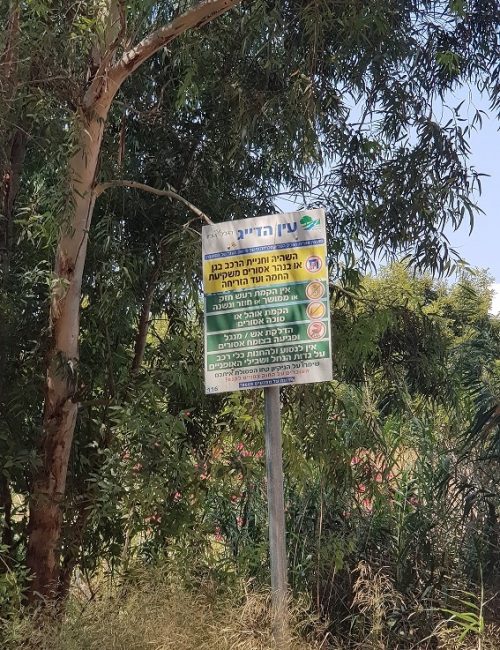 עין הדייג – מעיין קטן ונסתר בלב עמק החולה