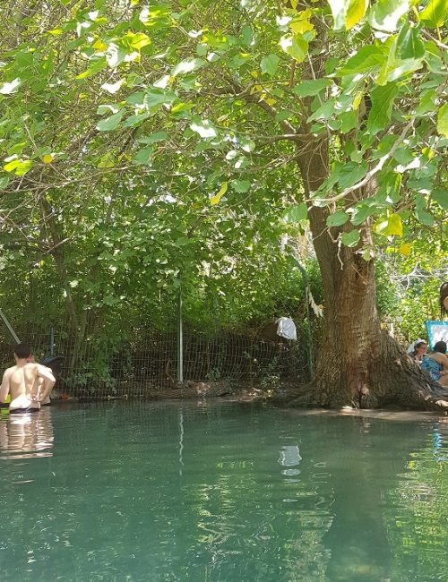 שמורת הטבע עין תאו עין ג'וחלה