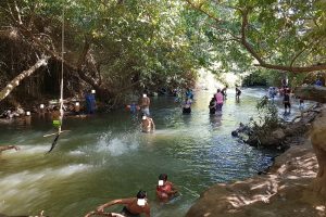 חורשת הנופלים שאר ישוב – נחל חרמון בניאס