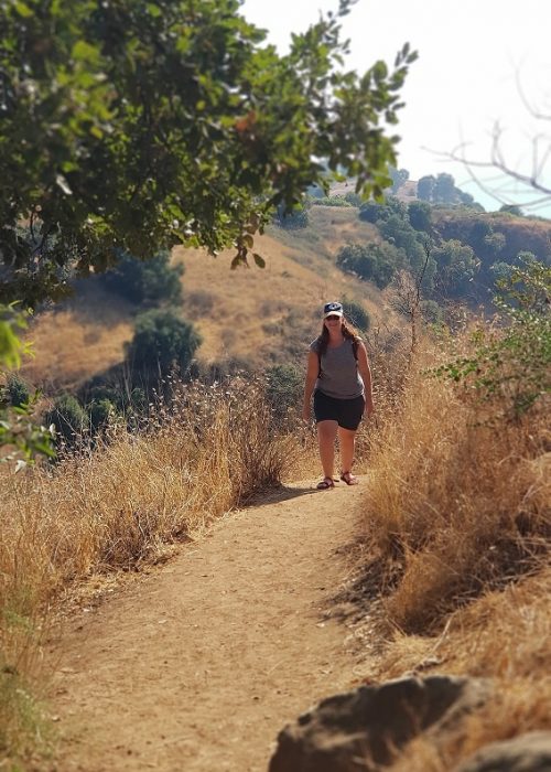 הטנק הסורי ההפוך בבניאס