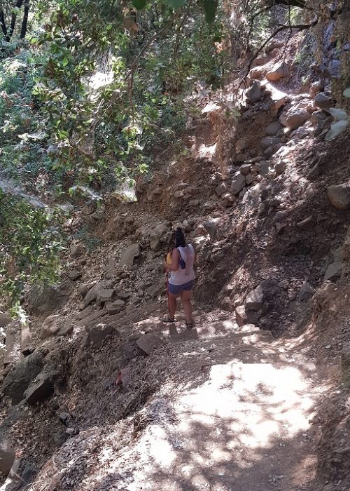 הטנק הסורי ההפוך בבניאס