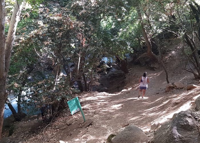 הטנק הסורי ההפוך בבניאס