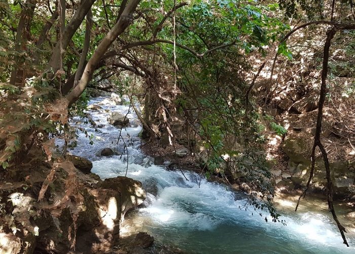 הטנק הסורי ההפוך בבניאס